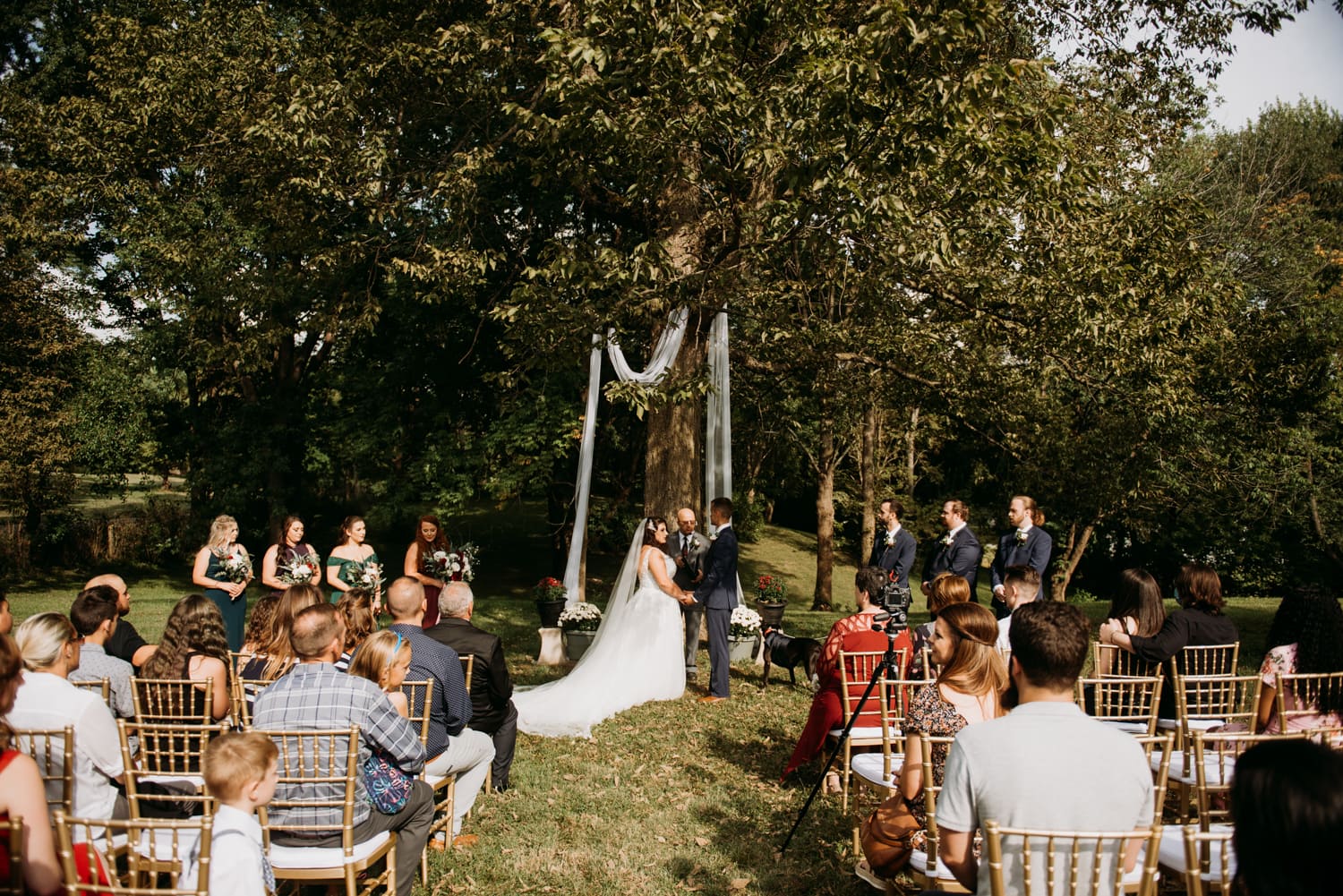 emotional fall backyard wedding ceremony under a tree