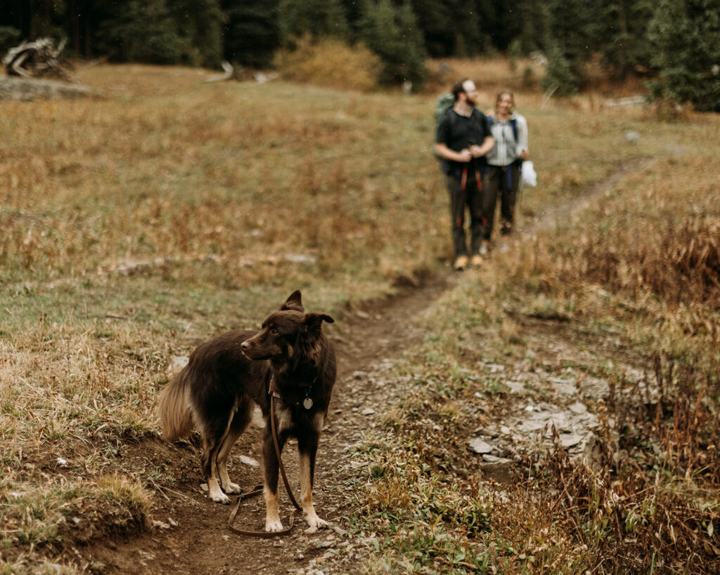 During their elopement, the couple's dog leads the way on their hike to arrive at their destination for their fall elopement