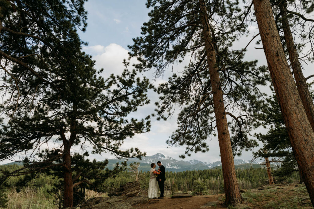 A couple stands underneath towering pines during their rocky mountain elopement